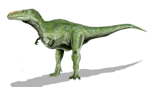 File:Alioramus.jpg