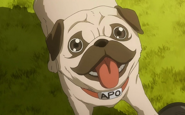 Archivo:Apo.png