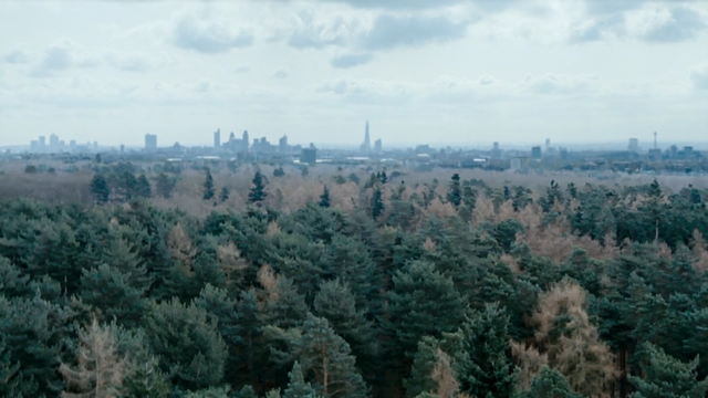 File:Into The Woods.png