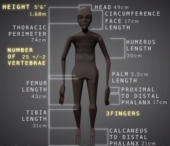 File:Maria - Nazca mummy specs.jpg
