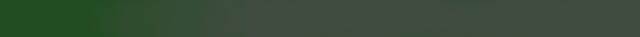 File:Sectionheading1bg.png