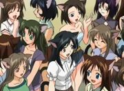 Unknown Girls