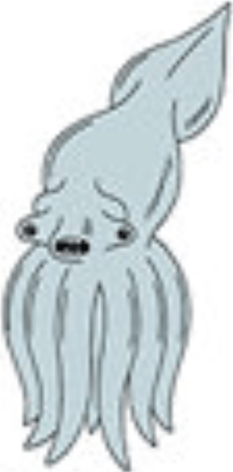 Squid Billy