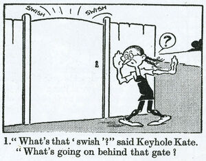 Keykate