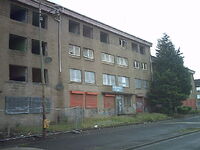 Picture 242