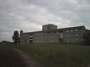 Picture 060