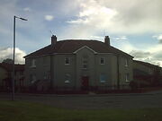 Picture386