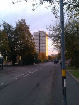 IMAG0229-1-
