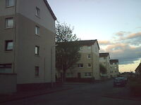 Picture 314