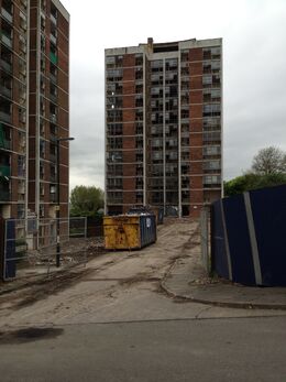 Photo (11)