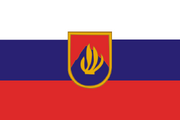 SVKFlag4