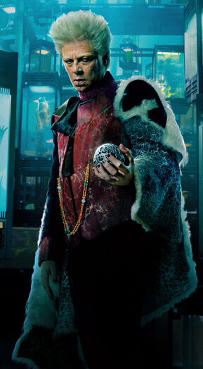 Collector textless cropped