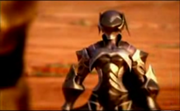 Aquaarmor