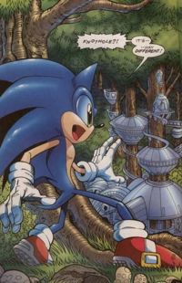 Sonic New Knothole
