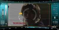 Cameron HUD terminate