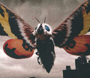 Mothra