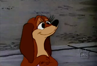 Dinahthedachshund
