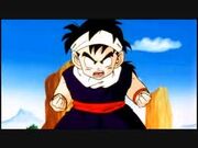 Images (20)