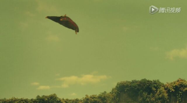 File:IMG 0325.jpeg