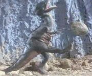 Stegoceras
