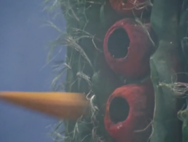File:Sabotender Explosive Thorn.png