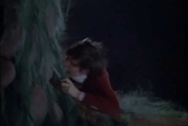 File:Vlcsnap-2015-11-27-17h00m40s652.png