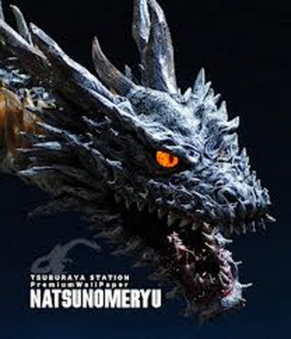 File:Natsunomeryu pic.png