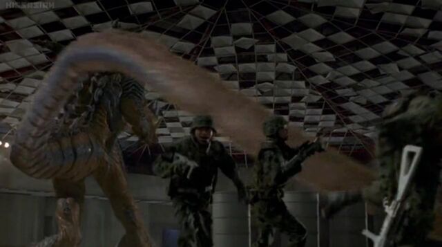 File:Image tail whip.jpeg