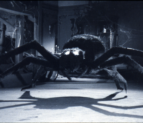 File:Tarantula.png