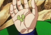 SenzuBeans