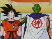 A Kami 5