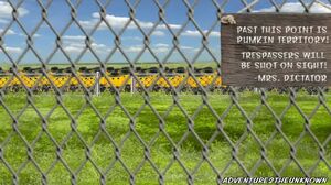 Pumkin World Border