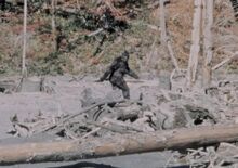 Bigfoot-625x440