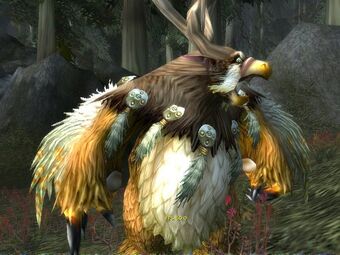 Moonkin in Darkshore1