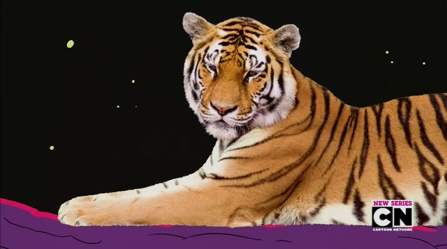 File:GRFT 5.png