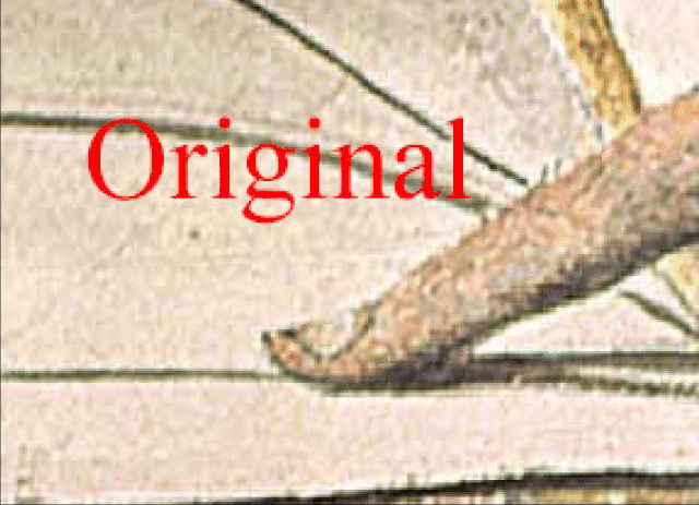 File:D92c9999e6e2cc62b4a2025bcc01cf72.gif