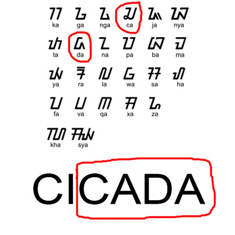 File:Cicada sundanes.jpg