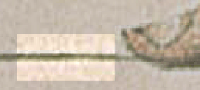 File:MIXXXX1000.gif