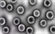 T-virus microscope