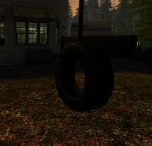 Tire Swing
