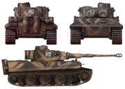 Tikitiger1.jpg