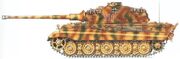 Kintiger.jpg