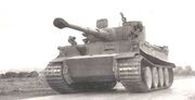 Tigre6.jpg