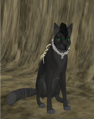 File:Akina Wolf - Species.png