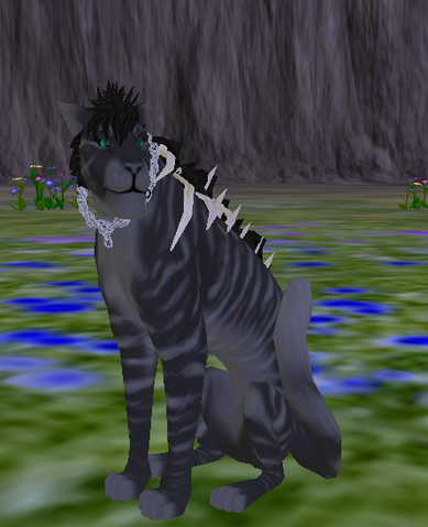 File:Feline - Species.png