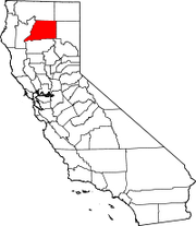 Shasta