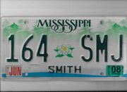 MS 4