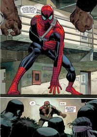 Peter Parker 2701.jpg
