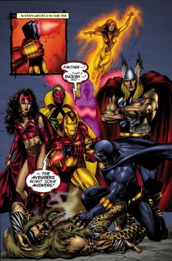 Black Panther 3-7 Av 1.jpg