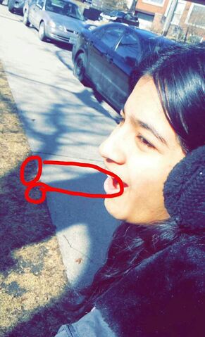 File:Snapchat-4899377028787797757.jpg
